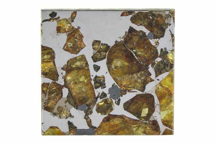 Brahin Pallasite Meteorite ( g) Slice - Belarus #351946